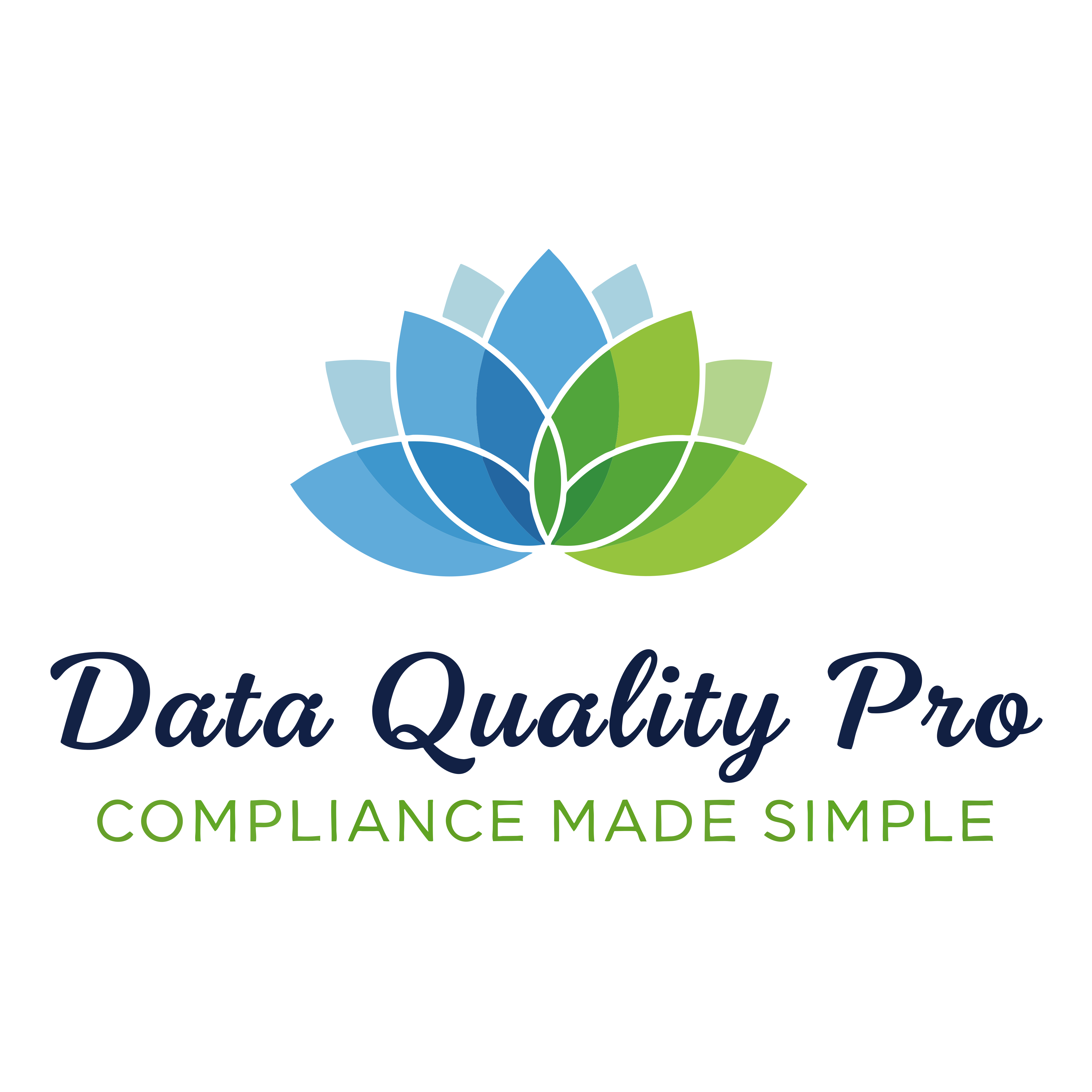 Data Quality Pro LLC